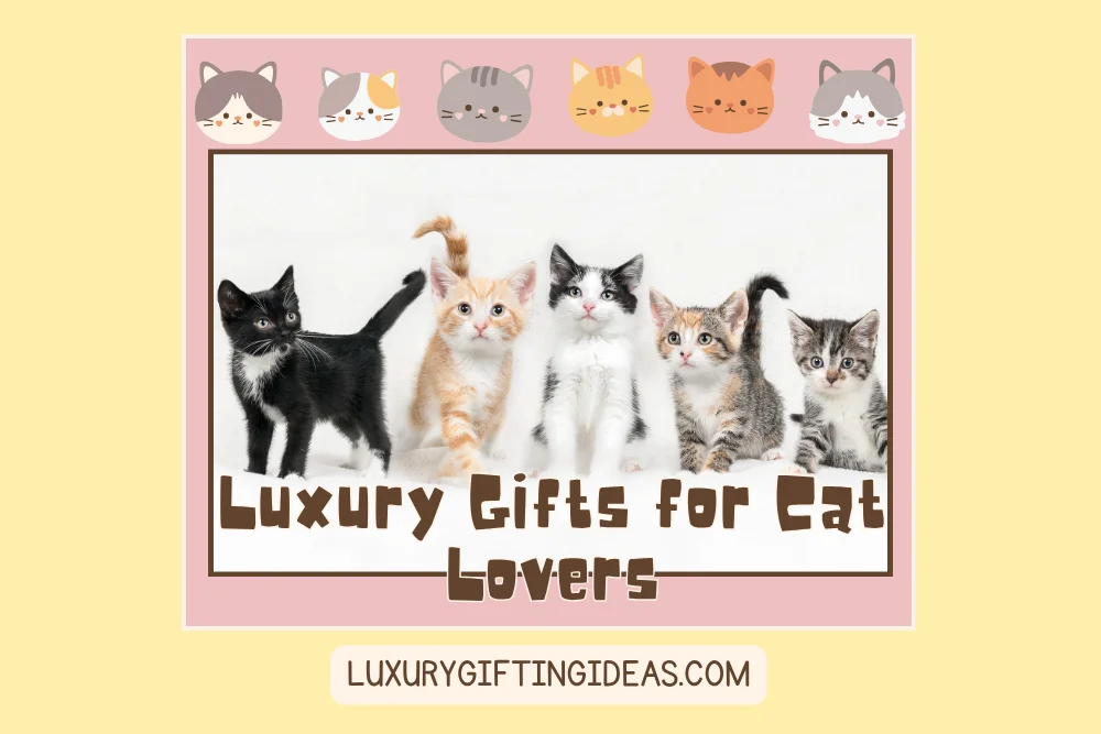 Luxury Gifts for Cat Lovers